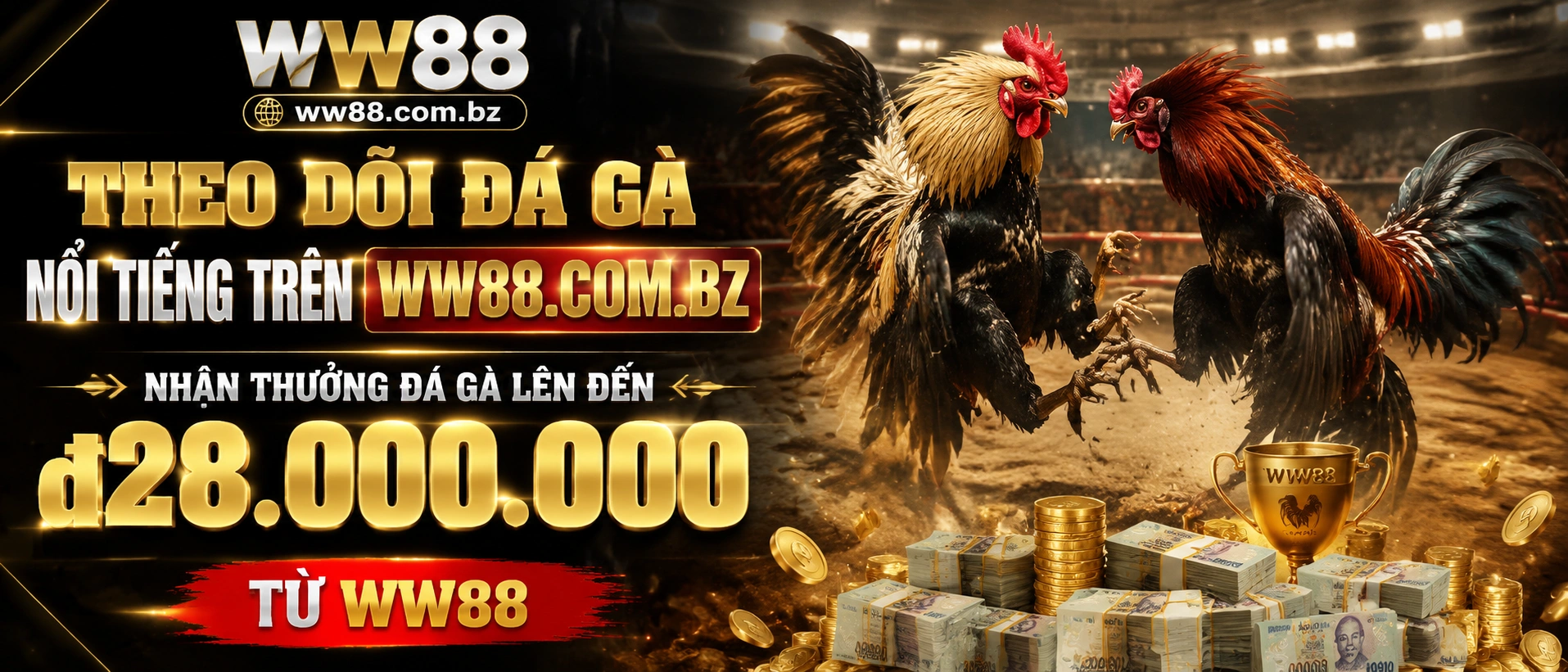 Đá Gà Trực Tiếp